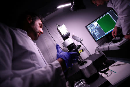 Dr. Ali Ertuerk, Group Leader at the Institute for Stroke and Dementia Research (ISD) at the Ludwig Maximillian's University, works at a laser microscope at his laboratory in Munich, Germany April 23, 2019. Mr. Ertuerk and his team developed DISCO transparency technology which is used by scientists from diverse biomedical research fields to generate high resolution views of intact rodent organs and bodies, a milestone on the way to generate 3D-bioprinted human organs. Picture taken April 23, 2019. REUTERS/Michael Dalder