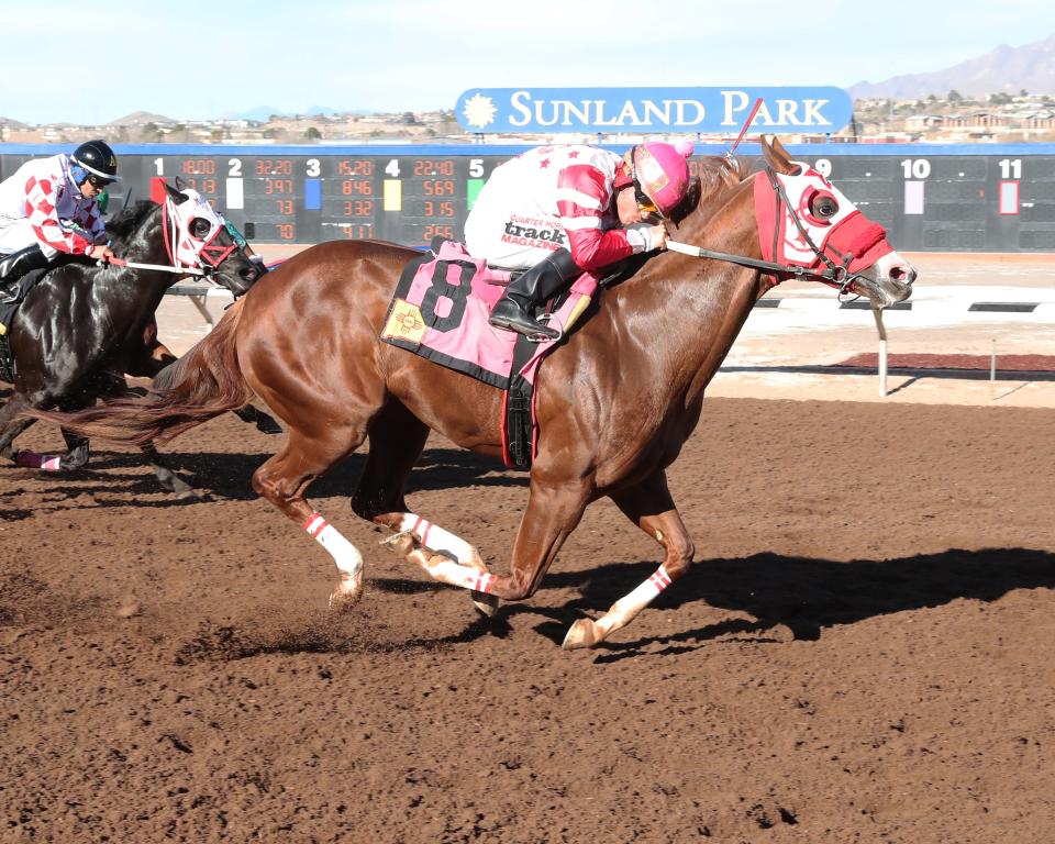 Flash Divine will be among 10 horses to compete in Saturday's Shue Fly Stakes  for New Mexico-breds at Sunland Park Racetrack & Casino.