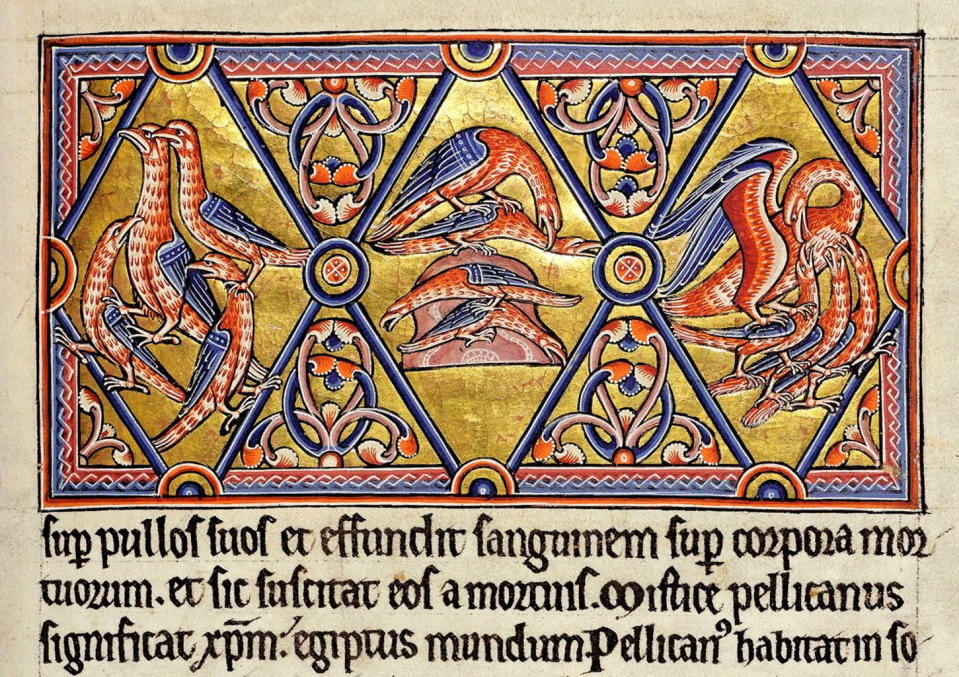 The three scenes in this image, called The Pelican, in the "Abereen Bestiary" show baby pelicans attacking their parents, who in turn kill the babies. Then, the mother pelican pierces her side and the resulting blood flows over the dead babies, who then return to life. <cite>University of Aberdeen</cite>