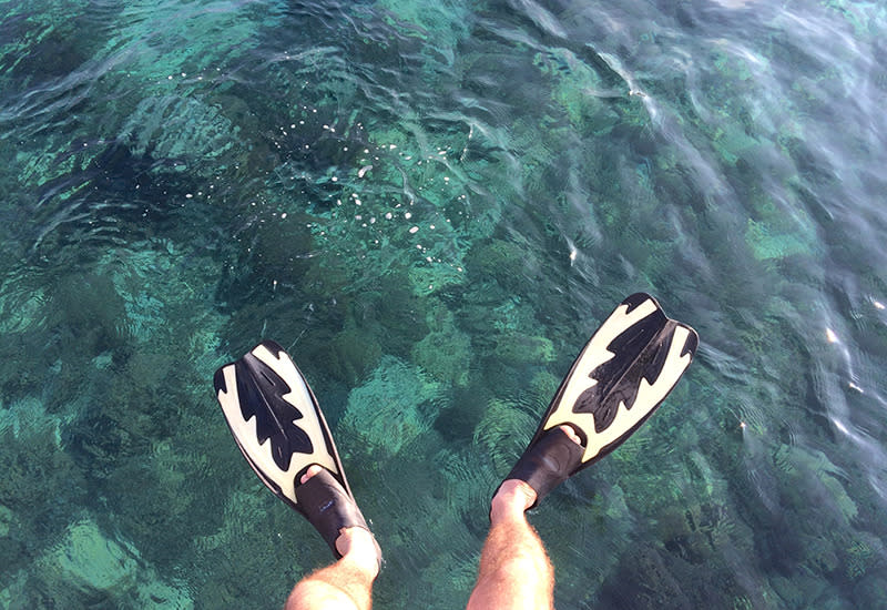 Swimming with manta rays