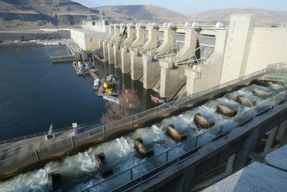 Water from the Snake River rushes down a fish ladder at Lower Monumental Dam on the Snake River.