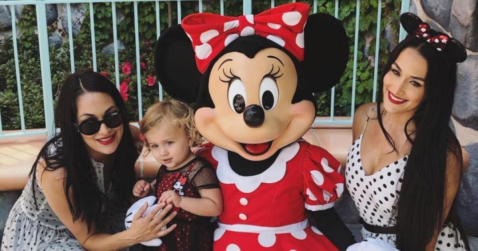 The 21 Cutest Photos of Pregnant Twins Nikki and Brie Bella with Brie's Daughter, Birdie