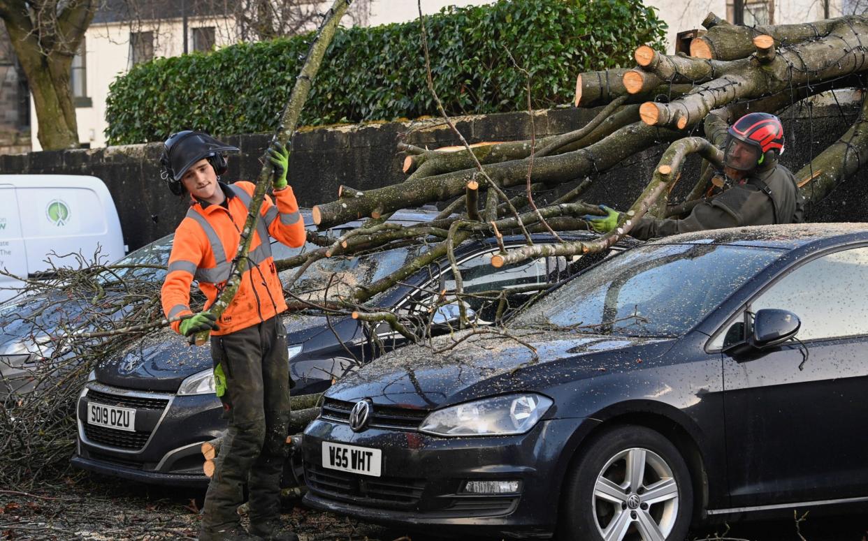 A tree surgeon removes a tree that fell during Storm Isha from a car in Linlithgow, West Lothian
