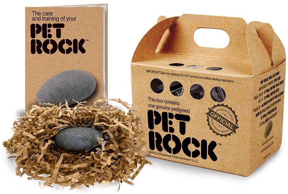 Pet Rock