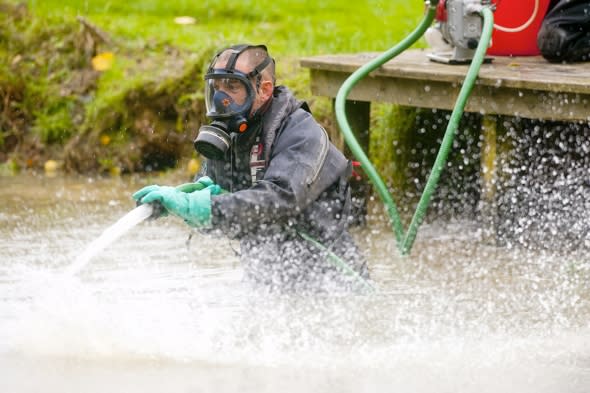 Environment Agency poison Hampshire lakes to kill invasive fish