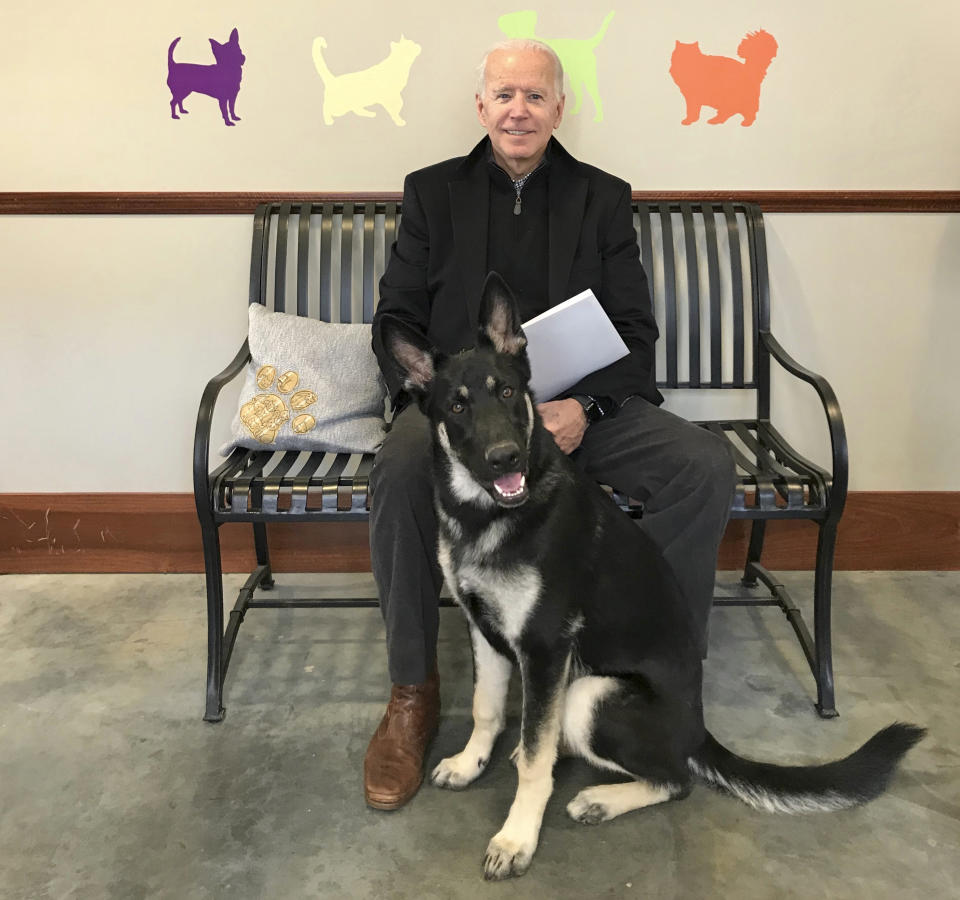 Joe Biden and his newly-adopted German shepherd, Major, at the Delaware Humane Association in Wilmington in 2018. (Stephanie Carter / Delaware Humane Association via AP file)