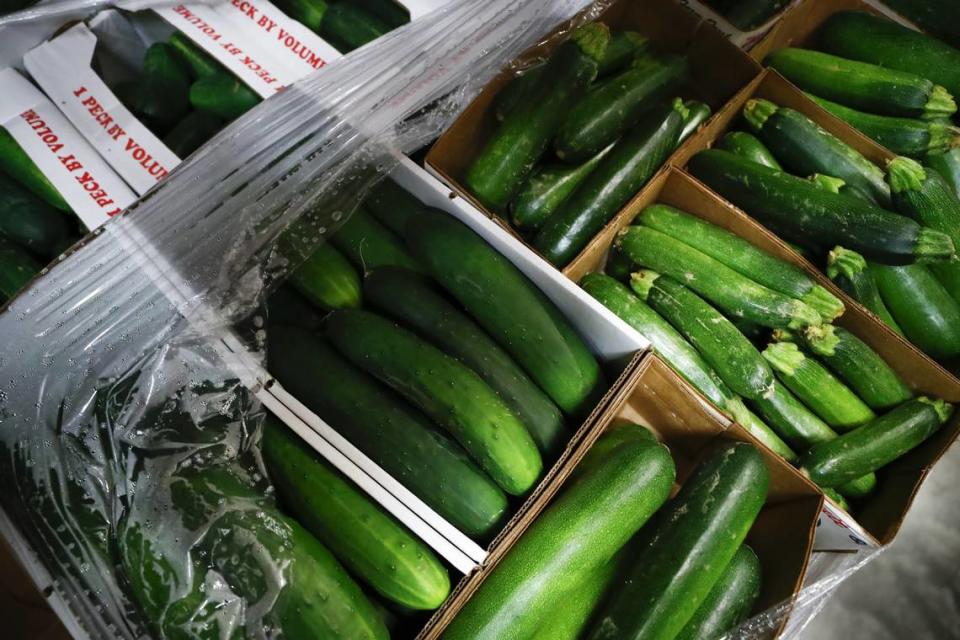 15 pallets of zucchinis and cucumbers sit in a refrigerator at at God’s Pantry Food Bank in Lexington. The produce was delivered through the Farms to Food Banks program which distributes locally grown food throughout the commonwealth.