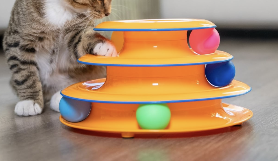 Cat playing with Petstages Tower of Tracks Cat Toy
