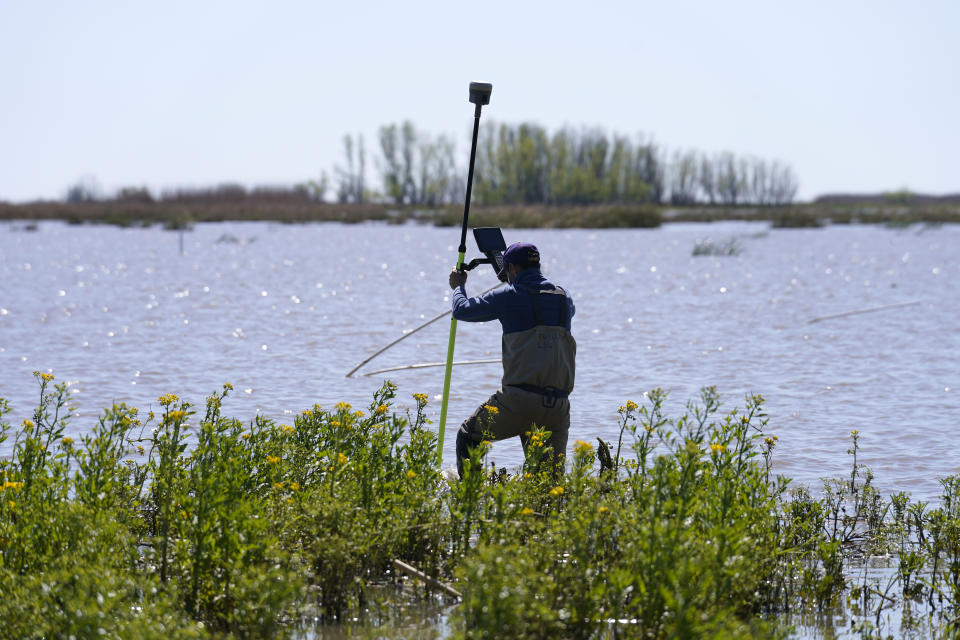 Andre Rabay, research scientist for the LSU Department of Oceanography and Coastal Science uses a real time kinetic (RTK) GPS to take measurements on Mike Island, part of the Wax Lake Delta in the Atchafalaya Basin, in St. Mary Parish, La., Friday, April 2, 2021. NASA is using high-tech airborne systems along with boats and mud-slogging work on islands for a $15 million study of these two parts of Louisiana's river delta system. (AP Photo/Gerald Herbert)