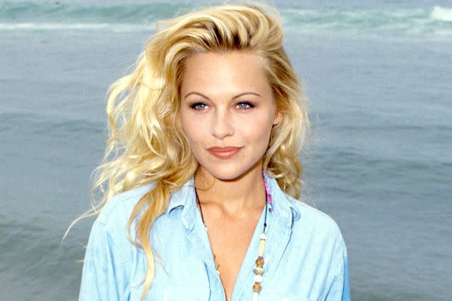 <p>S. Granitz/WireImage</p> Pamela Anderson portrait