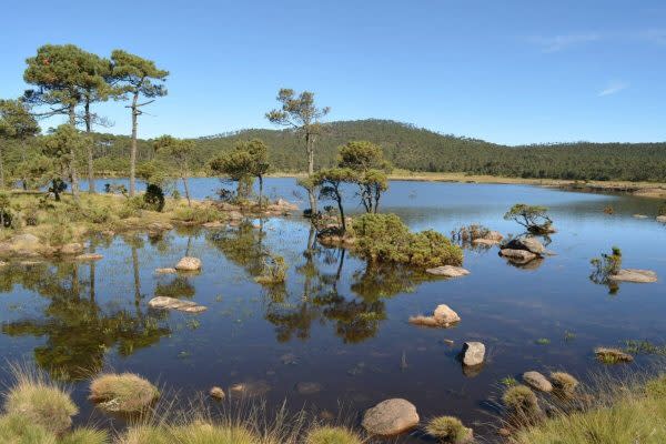 El Bosque de Agua contiene lagunas y ríos que dotan del líquido a las grandes ciudades. Paraje Laguna Seca en Isidro Fabela, en el Estado de México. (Foto: Cortesía de Víctor Ávila Akerberg)