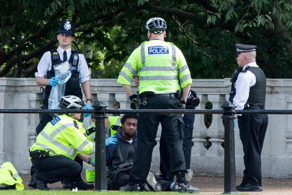 The man was arrested near Buckingham Palace on suspicion of carrying a knife (Alex Lentati)