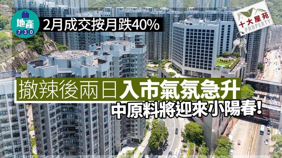 十大屋苑｜2月成交按月跌40% 撤辣後兩日入市氣氛急升 中原料將迎來小陽春