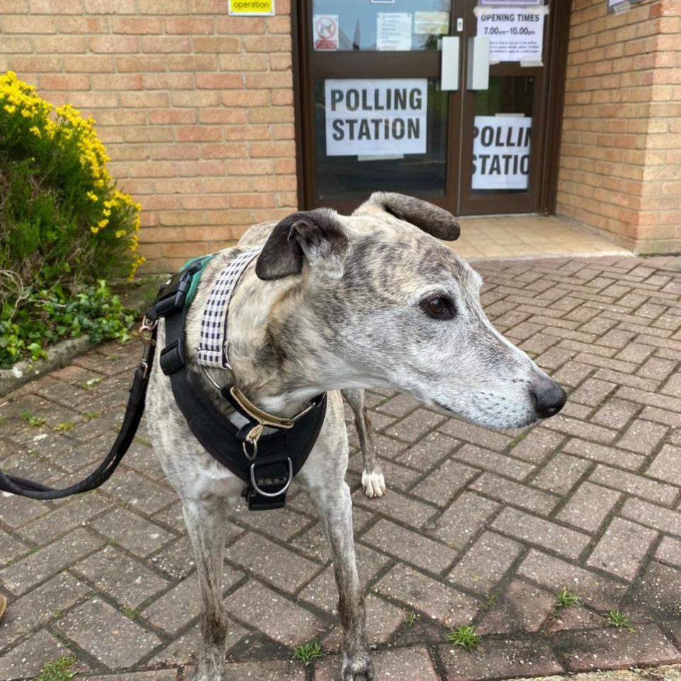 Oxford Mail: Vale of White Horse District Council posted this picture of a pooch at Kingston Bagpuize 