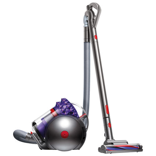 Dyson Cinetic Big Ball Animal Pro Canister Vacuum. Image via Best Buy.