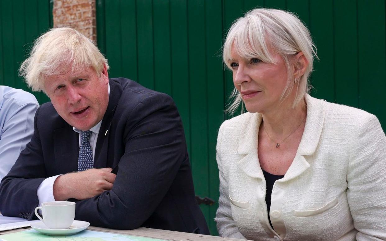 Nadine Dorries has started work on a book about Boris Johnson's removal from office - Simon Dawson / No10 Downing Street