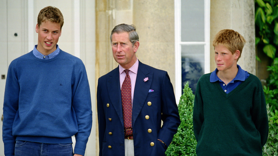 Prince William and Prince Harry at Highgrove