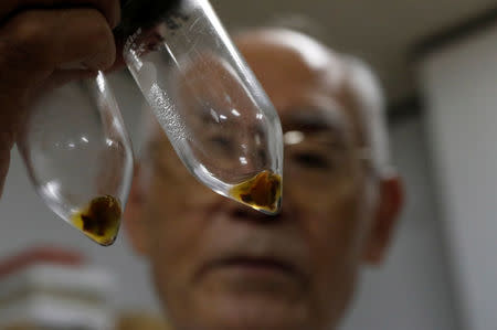 Hirokatsu Akagi, director of Minamata's International Mercury Laboratory, shows pieces of decades-old umbilical cords in test tubes as he demonstrates the method for measuring possible mercury content, at his lab in Minamata, Kumamoto Prefecture, Japan, September 11, 2017. REUTERS/Kim Kyung-Hoon