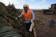 Republic Services operator George Maya removes painted woods from a mountain of yard, garden and landscape waste at the Otay Landfill in Chula Vista, Calif., on Friday, Jan. 26, 2024. Two years after California launched an effort to keep organic waste out of landfills, the state is so far behind on getting food recycling programs up and running that it's widely accepted next year's ambitious waste-reduction targets won't be met.(AP Photo/Damian Dovarganes)
