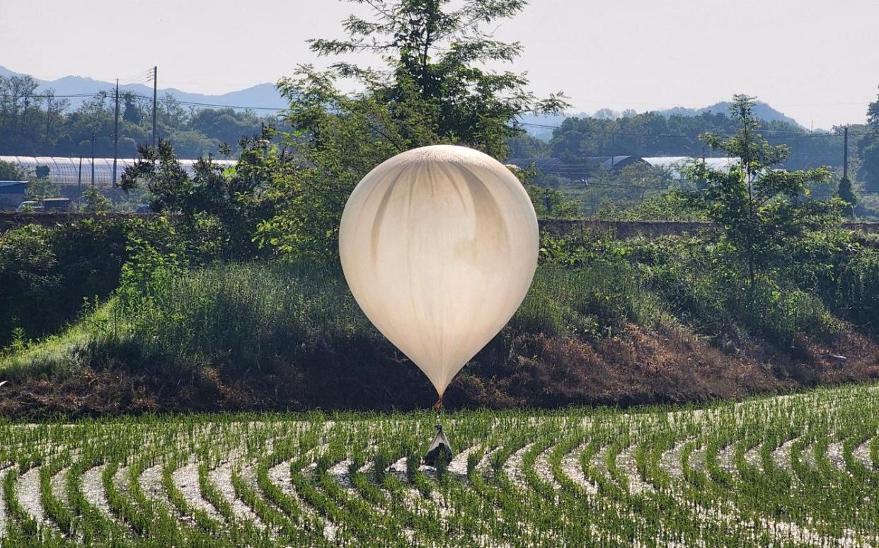 A balloon believed to have been sent by North Korea, carrying various objects including what appeared to be rubbish and excrement, is seen over a rice field  in South Korea - North Korea accused of sending balloons carrying faeces to the South