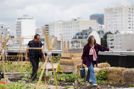 Post office employees work on a 900 square meters farm garden on the rooftop of their postal sorting center, as part of a project by Facteur Graine (Seed Postman) association to transform a city rooftop as a vegetable garden to grow fruits, vegetables, aromatic and medicinal plants, with also chickens and bees in Paris, France, September 22, 2017. Picture taken September 22, 2017. REUTERS/Charles Platiau