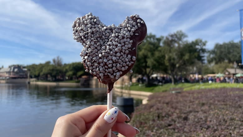 chocolate treat on a stick with sprinkles at Disney World