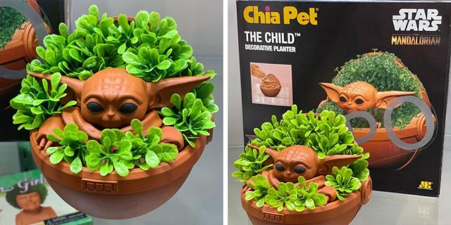 Chi..Chi..Chi..Chia! Baby Yoda Chia Pets COMING SOON! - Inside the Magic