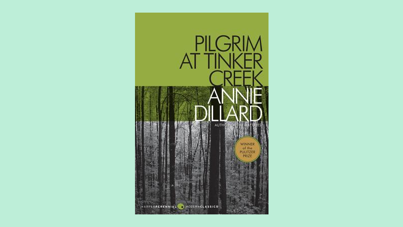 An American masterpiece, gift Annie Dillard to a nature lover.