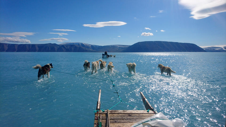 In this photo taken on Thursday, June 13, 2019 sled dogs make their way in northwest Greenland with their paws in melted ice water. Diplomats and climate experts gathered Monday in Germany for U.N.-hosted talks on climate change amid growing public pressure for governments to act faster against global warming. Over the weekend, a picture taken by Danish climate researchers showing sled dogs on the ice in northwest Greenland with their paws in melted ice water was widely shared on social media. Greenland’s ice melting season normally runs from June to August but the Danish Meteorological Institute said this year's melting started on April 30, the second-earliest time on record going back to 1980. (Danmarks Meteorologiske Institut/Steffen M. Olsen via AP)