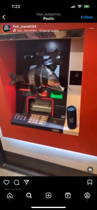 This is a screenshot showing an Instagram post where a fish is taped to an ATM.