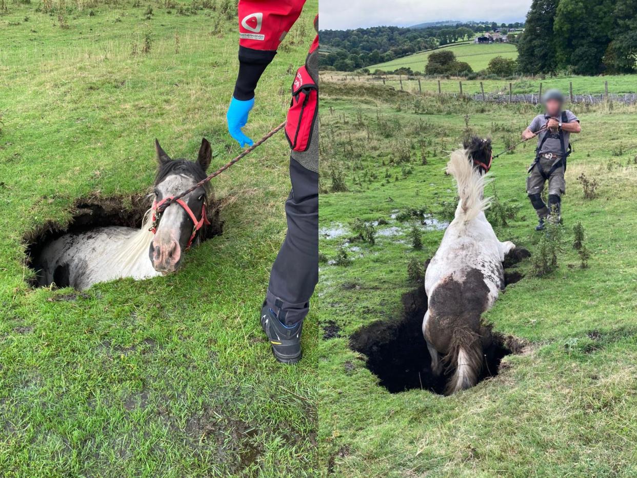 Firefighters dug a channel in order to help the steed which had got into trouble near Darlington. (Facebook/County Durham & Darlington Fire & Rescue Service)