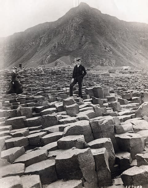 A dashing visitor to Giant's Causeway - Credit: George Rinhart