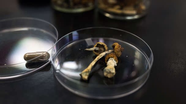 PHOTO: A container of Psilocybe mushrooms, right, alongside the final product in pill form at the Numinus Bioscience lab in Nanaimo, British Columbia, Canada,, Sept. 1, 2021.  (Bloomberg via Getty Images)