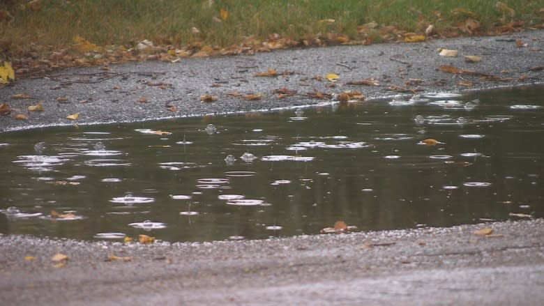 Sask. storm brings Regina's wettest day since June