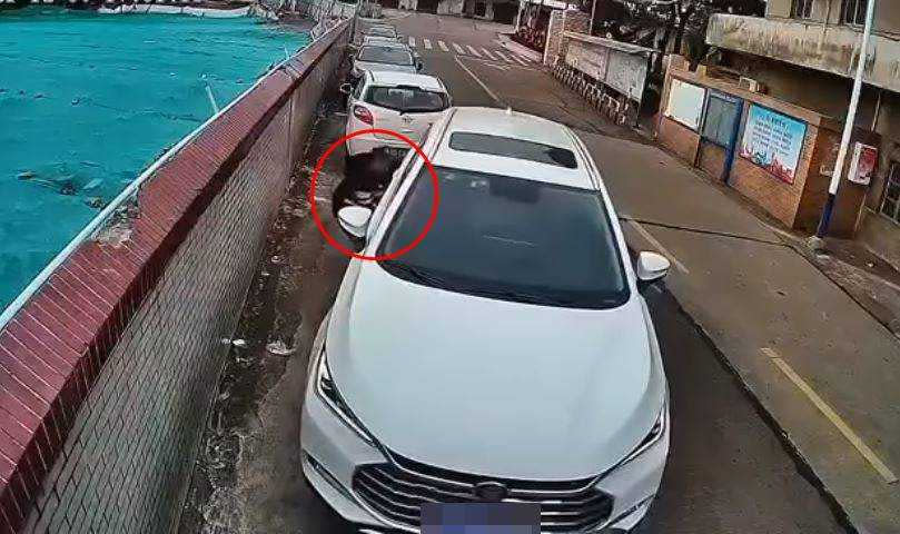 男子車邊停車卻連續失敗多次，乾脆下車用手拉。（圖／翻攝畫面）