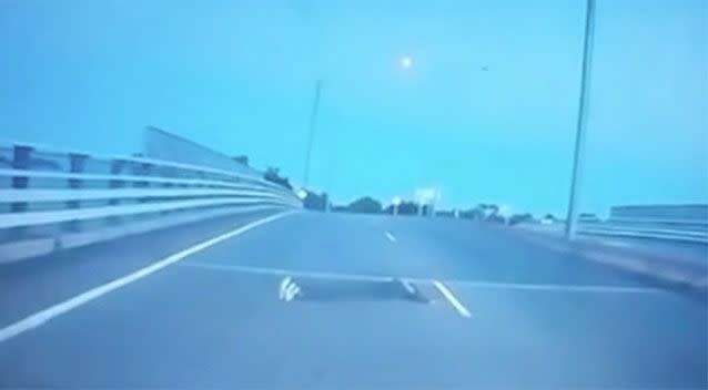 Dashcam footage shows a Perth boy lying in the middle of a busy road. Source: Thornlie WA Crime/Facebook