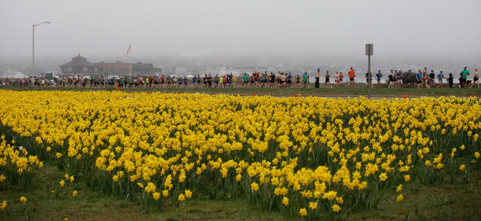Runners make their way along Memorial Boulevard among a sea of daffodils.