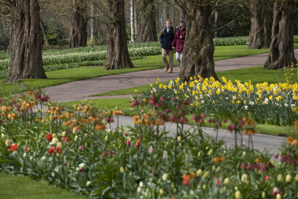 Far fewer visitors than normal are seen at the world-famous Keukenhof garden in Lisse, Netherlands, Friday, April 9, 2021. Finally, after month after bleak month of lockdown, there are springtime shoots of hope emerging for a relaxation of coronavirus restrictions at a Dutch flower garden and other public venues. Keukenhof nestled in the pancake flat bulb fields between Amsterdam and The Hague opened its gates Friday to a lucky 5,000 people who were allowed in only if they could show proof on a smartphone app that they had just tested negative for COVID-19. (AP Photo/Peter Dejong)