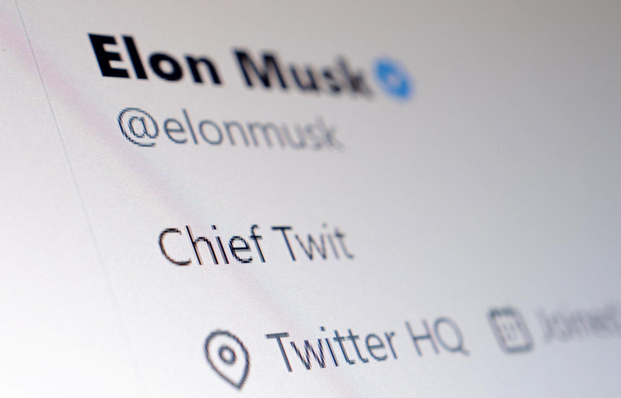 A screen grab of Elon Musk's Twitter 