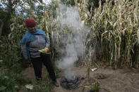 Irene Leonor Flores de Callata, 68, performs a brief ceremony to thank the Earth after inspecting her corn crop at her home in Tusaquillas, Jujuy Province, Argentina, Sunday, April 23, 2023. “If the [lithium] mines come, we’ll have money for a time. But then our grandchildren, our great grandchildren – they’re the ones who will suffer,” she says. “I want to do everything possible to defend these lands, so they still have these fields, so they still have their waters.” (AP Photo/Rodrigo Abd)