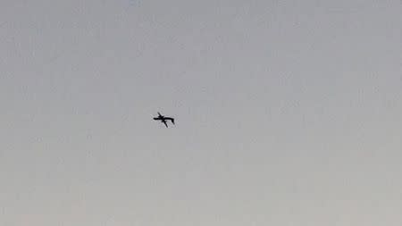 A Horizon Air Bombardier Dash 8 Q400, reported to be hijacked, flies upside down over University Place, Washington, the U.S., before crashing in the South Puget Sound, August 10, 2018 in this still image taken from a video obtained from social media. John Waldron/via REUTERS