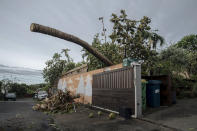 A tree fell on a wall in the town of La Plaine Saint-Paul on the French Indian Ocean island of Reunion, Monday, Jan. 15, 2024. Authorities urged residents on the French Indian Ocean island of Reunion to shelter indoors Sunday as a powerful storm bore down packing hurricane-force winds and Meteo France warned of winds that could top 250 kph (155 mph) Monday. In the French Indian Ocean island of Reunion, local authorities said Monday that the highest alert level has been lifted but residents were still urged to remain sheltered indoors. (AP Photo/Lewis Joly)