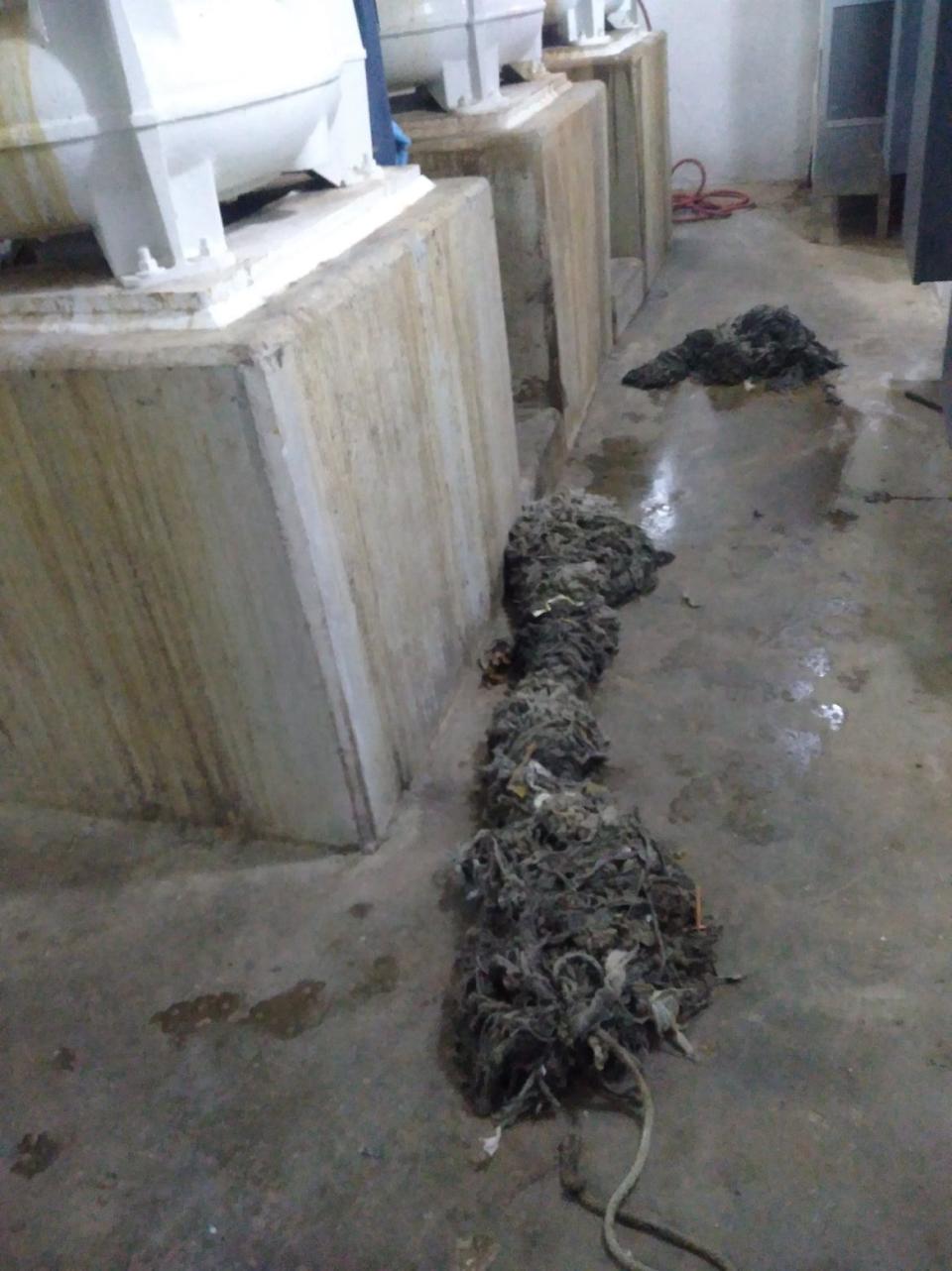 This 10 foot long clog was found in New Bern's sewer system in February by wastewater treatment crews. The large clump is combination of paper products and grease.