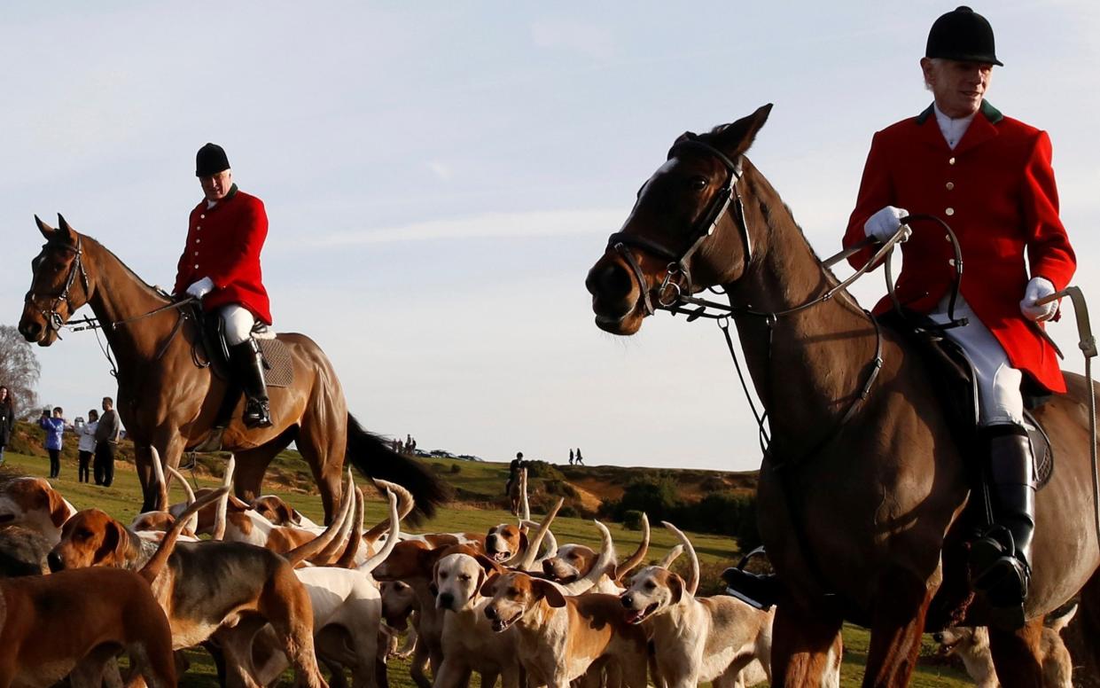 Members of the New Forest Hunt arrive at Boltons Bench for the annual Boxing Day hunt in Lyndhurst, in December 2016. Since a ban stopped fox hunting with hounds, hunts have continued with dogs chasing down a pre-laid scented trail instead of a fox.  - Luke MacGregor/REUTERS