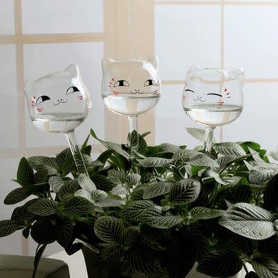 These adorable watering globes