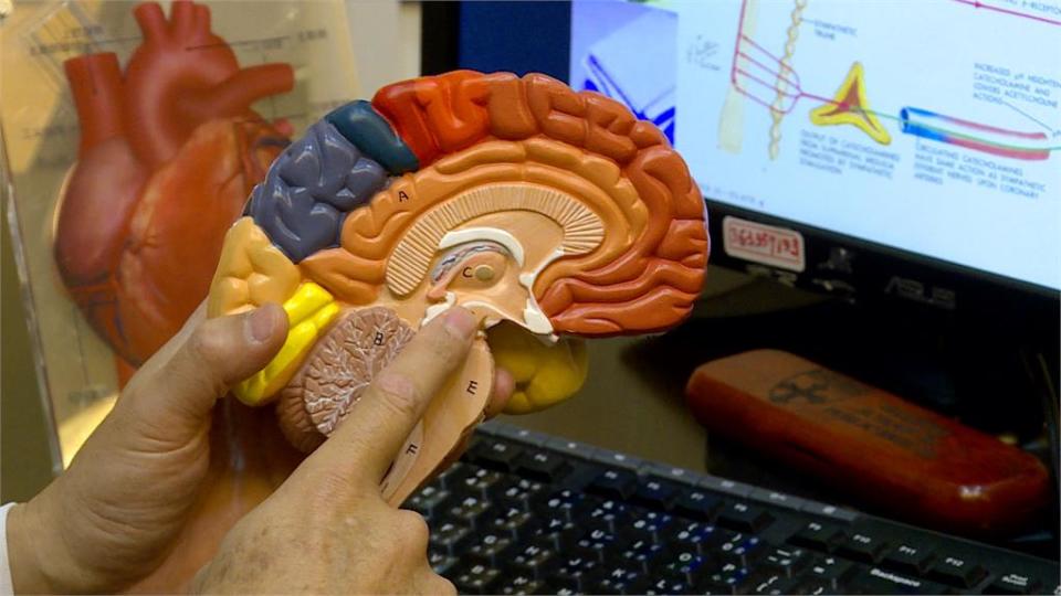 中西醫合作治療照護腦中風　提升病人照護品質、恢復生活自理