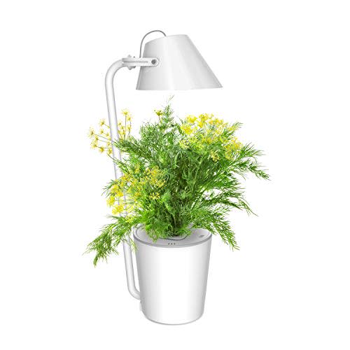 LED Plant Growing Hydroponic Lamp (Amazon / Amazon)