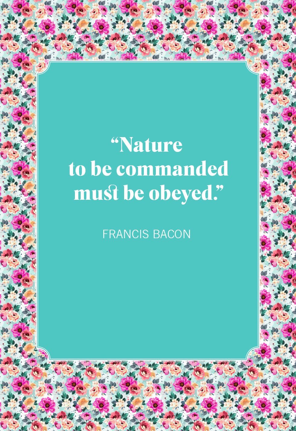 nature quotes francis bacon