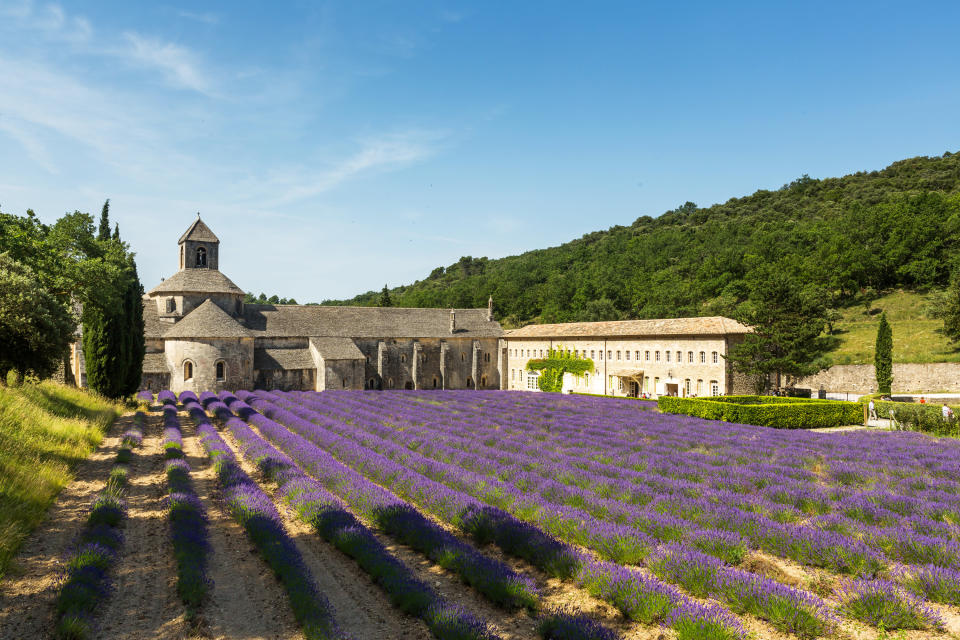 France(The Abbey of Sènanque is a church located among lavender fields in Provence.)