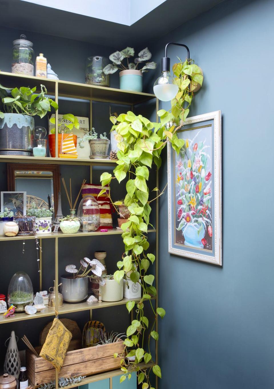 a curated shelf full of plants and trinkets brings vibrancy to a small corner